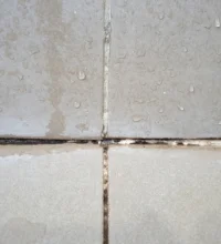 Dirty Cracked Tile Joints Grout