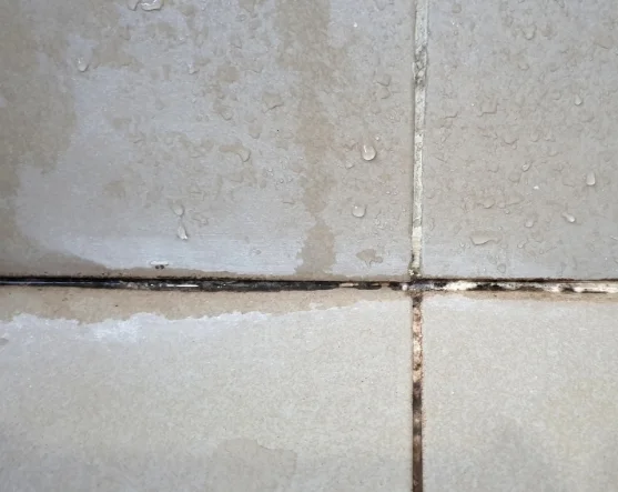Dirty & Cracked Tile Joints - DS Problems