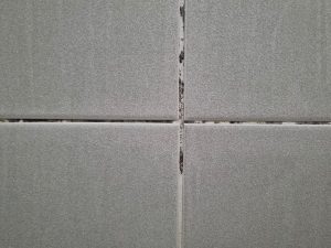 Black and green mold growing on shower grouted joints tile and appear on the ceramic wall in bathroom corner