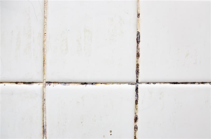 Why cement tiling grout develops mould and how to stop it for good