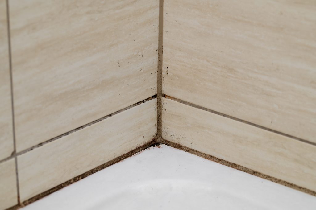 Grout gone wrong: Why your tile joints keep turning black
